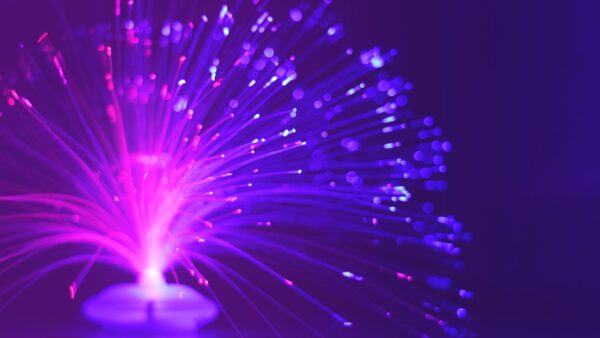 0506財鑰-免費直播課 方案2:家庭雙人以上文化建立組